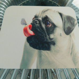 Mouse pad dog. carlin , pug , tapis de souris